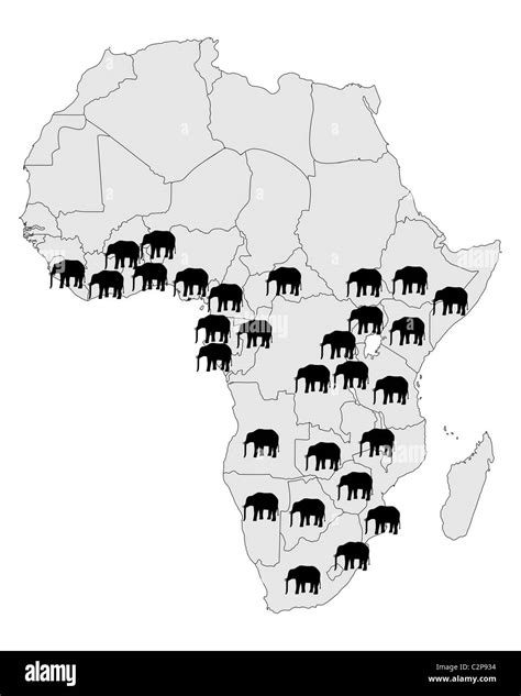 wild african elephant map africa black  white stock  images