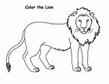 Lion Draw Coloring sketch template