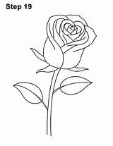Rose Drawing Stem Draw Red Flower Long Single Drawings Step Getdrawings Over Pencil Paintingvalley sketch template