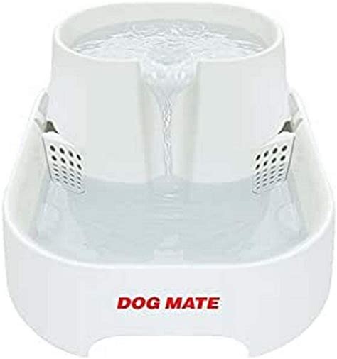 dog water fountains   whydopets