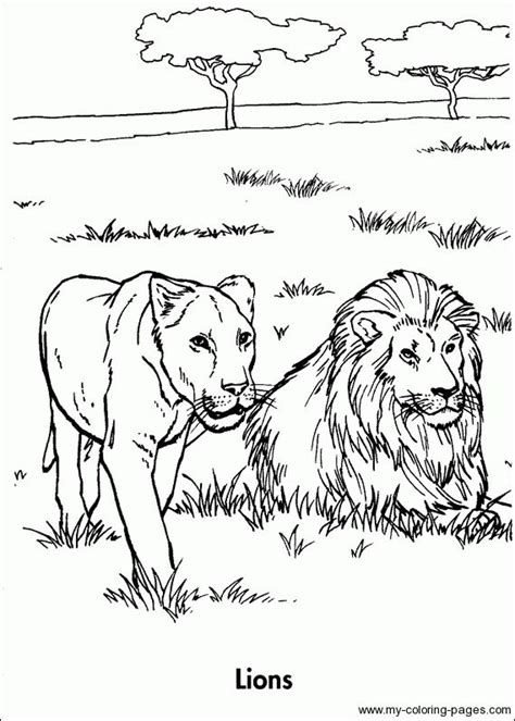 planetearthlionsgif  lion coloring pages zoo coloring