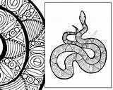 Zentangle Snake Animal Coloring Pdf Sheet Colouring Adult sketch template