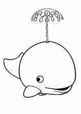 Whale Coloring Cute Water Baby Killer Blue Drawing Color Spouting Kids Beluga Whales Pages Outline Clipart Cartoon Spurting Cliparts Clip sketch template