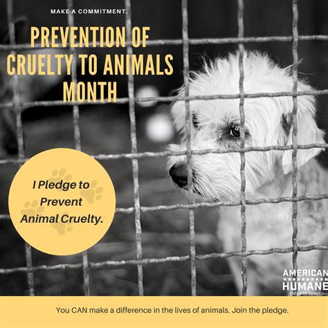 american humane advocates  prevention  cruelty  animals month
