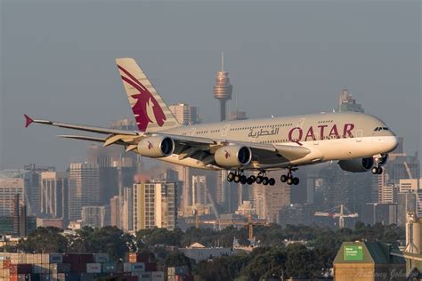 qatar airways airbus   aviation airplane airbus airbus