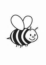 Coloring Bee Large sketch template