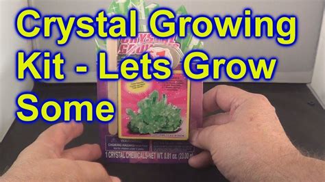 crystal growing kit  creativekids  dollar tree   grow