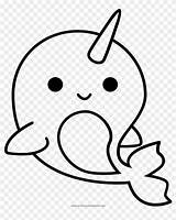 Narwhal Pngfind Clipartkey Pinclipart sketch template