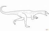 Velociraptor Ausmalbilder Dinosaurier Dinossauro Colorir Dinosaurio Ausmalbild Raptor Troodon sketch template