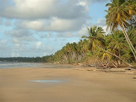 mayaro beach  pinar del rio trinidad  tobago sygic travel