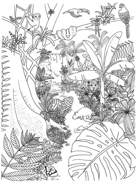 excelent jungle coloring page  printable coloring pages  kids