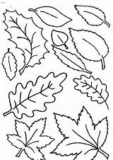 Leaves Coloring Pages Fall Printable Falling Autumn Pumpkin Clip Getcolorings Leaf Color Getdrawings Colorings sketch template