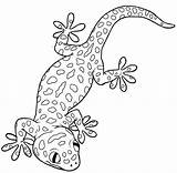 Gecko Leopard Exotic Lizard Colouring Coloringpagesfortoddlers sketch template