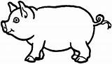 Cerdo Animales Dibujo sketch template