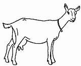 Goat Outline Milk Clipart Milking Goats Clipartmag sketch template