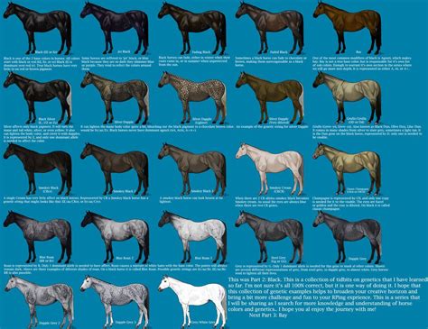 horse color chart breeding