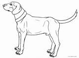 Coloring Dog Pages Hound Printable Getcolorings sketch template
