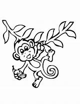 Monkey Coloring Banana Pages Hanging Printable sketch template