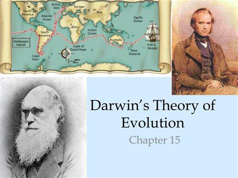 darwins theory  evolution powerpoint