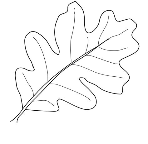 printable leaves colouring pages