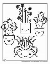 Succulents Woojr sketch template