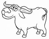 Buffalo Coloring Getcolorings Printable Pages Color sketch template