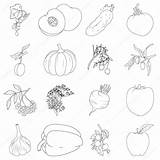 Fruits Coloring Book Set Vegetables Stock Illustration Vector Depositphotos sketch template