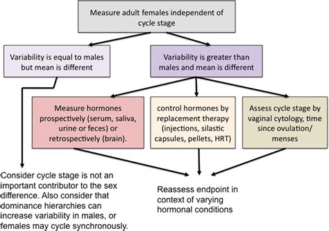 sex differences in the brain the not so inconvenient truth journal of neuroscience