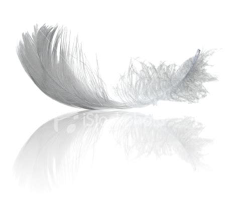 weight   feather chuck greaves  joseph greaves