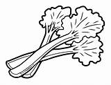 Rhubarb Coloring Celery Vegetables Foodhero Artwork sketch template