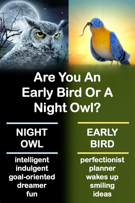 Are You An Early Bird Or A Night Owl