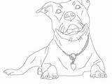 Coloring Pages Pitbull Pit Realistic Dog Printable Getcolorings Getdrawings Pag Colorings Bulls sketch template
