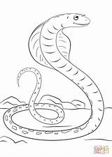 Cobra Coloring Pages Cartoon Drawing Cute Mamba Snake Printable Print Snakes Color Reptiles Sheets Getdrawings Getcolorings Parentune sketch template
