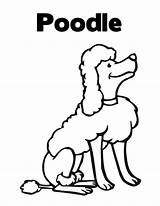 Poodle Coloring Designlooter Lets Word Learn 776px 76kb sketch template