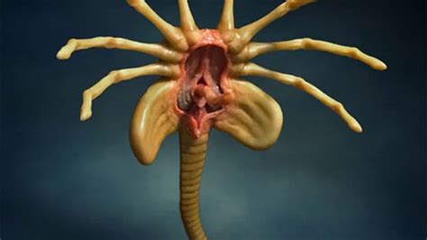 alien facehugger replica will turn your desk into a