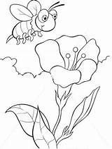 Albina Colorat Bee Planse Floare Fise Insecte Copii Stup Zboara sketch template