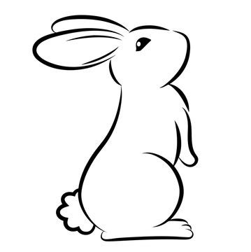 simple rabbit outline drawing ezzeyn