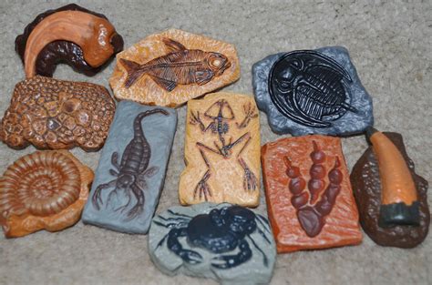 safari  ancient fossils toobs great  fossil birthday parties