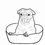 Pug Coloring Pages Pugs Baby Dog Outline Color Bowl Inside Happy Template Puppies Printable Print Drawing Boxer Dogs Getcolorings Outlines sketch template