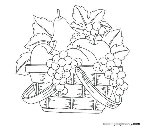 fruit basket coloring page  printable coloring pages