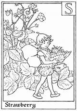 Coloring Fairy Pages Alphabet Flower Fairies Strawberry Colouring Sheets Print Letter Printable Colour Meadow Adult Letters Book Queens Sheet Adults sketch template