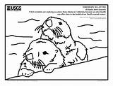 Otter Coloring Sea Otters Pages River Printable Color Print Sheets Worksheets Getdrawings Drawing Yahoo Search Baby Book Getcolorings Popular Pleasant sketch template