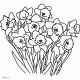 Coloring Daffodil Pages Spring Flower Printable Color Print Flowers Kids Click Inch Para Primavara Browser Then Paper Imagenes sketch template
