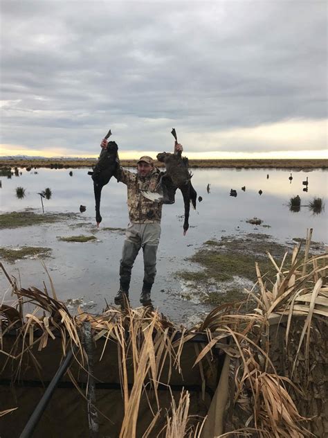 zealand duck hunting ramsey russells getduckscom