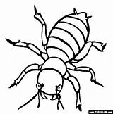 Insect Insects Clipartmag Designlooter sketch template