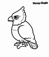 Harpy Eagle Coloring Getcolorings Printable Pages Color Drawing sketch template