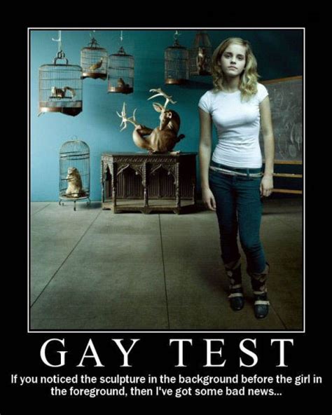 Demotivational Posters Test If You’re Gay 49 Pics