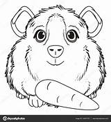 Meerschweinchen Ausmalbild Ausmalen Malvorlage Inde Cochon Kinderbilder Malvorlagan Ganzes Pig Guinea Kaninchen Meerschwein Ausmalbilderfureuch sketch template