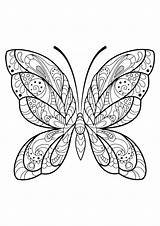 Butterfly Coloring Patterns Beautiful Pages Adult Insects Printable sketch template