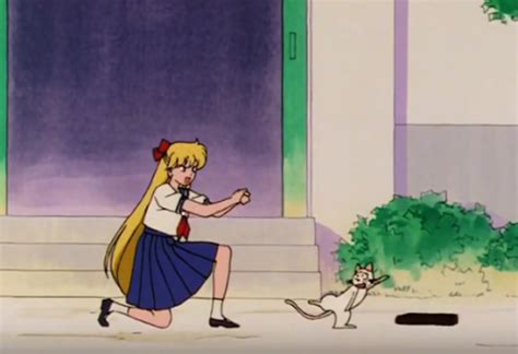 Funny Moments Sailor Moon Tumblr